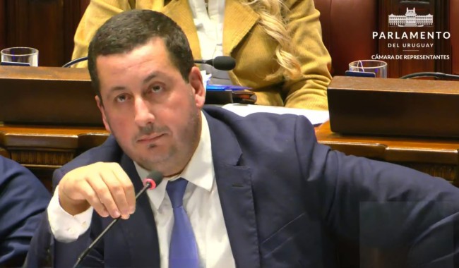 Diego Echeverría, seguridad pública, crimen organizado, homicidios, tráfico de armas, Código Penal, Parlamento Uruguay, Senado, interpelación, Carlos Negro, Pedro Bordaberry, Maldonado