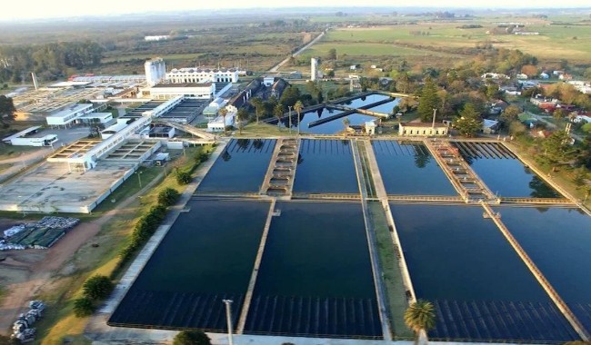 Agua: OSE admite superaciones de trihalometanos y la oposición acusa "doble vara" en la calidad