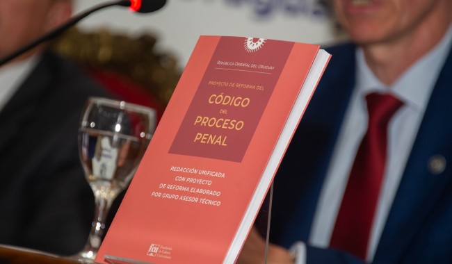 CPP, reforma del Código del Proceso Penal, sistema penal uruguayo, proceso penal acusatorio, Instituto Nacional de Rehabilitación, Ana Juanche, libertad anticipada, política criminal, Rodrigo Blás, Carlos Negro, Gabriel Gurméndez, Diego Echeverría, gobierno, Yamandú Orsi, Parlamento Uruguay, seguridad pública