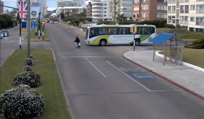 Semáforos en rojo: la infracción que persiste y sigue generando riesgo en Maldonado