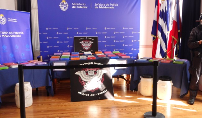 Cocaína: incautan 53 kilos y sacan del mercado más de medio millón de dólares en Maldonado