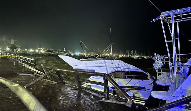 Maldonado, temporal, vientos fuertes, Inumet, alerta naranja, CECOED, IDM, Puerto de Punta del Este, daños, árboles caídos, UTE, Bomberos, Prefectura, orca varada, Playa Mansa