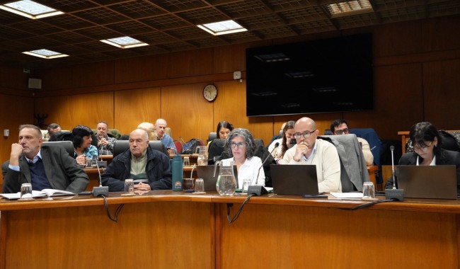Hemocentro: Diputados puso el foco en cómo aparecieron las acusaciones contra Curbelo