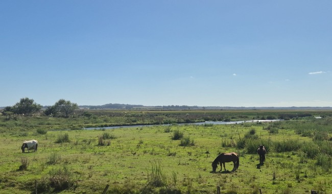 Fin a un litigio de nueve años: ANEP desistió de reclamar tierras dentro del Ecoparque