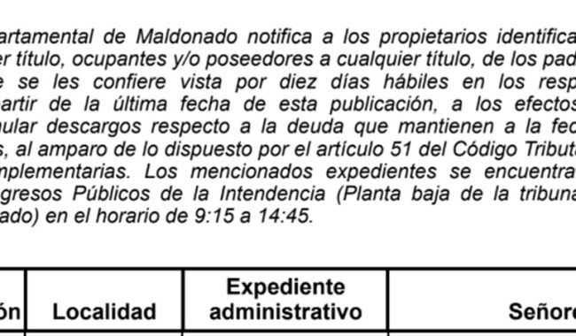 IDM: Vistas Inmobiliarias (E224/ 19)