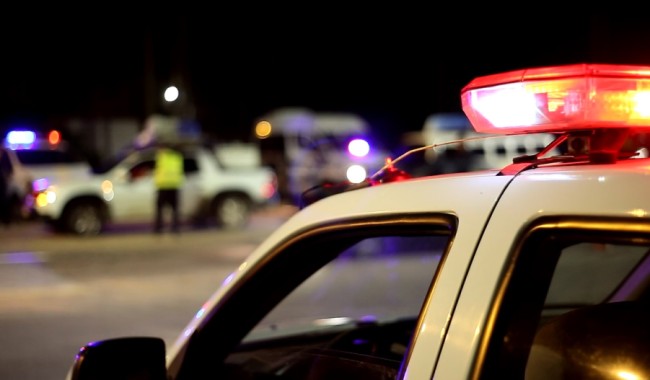 Octogenario murió tras chocar su camioneta contra un vacuno en ruta 39