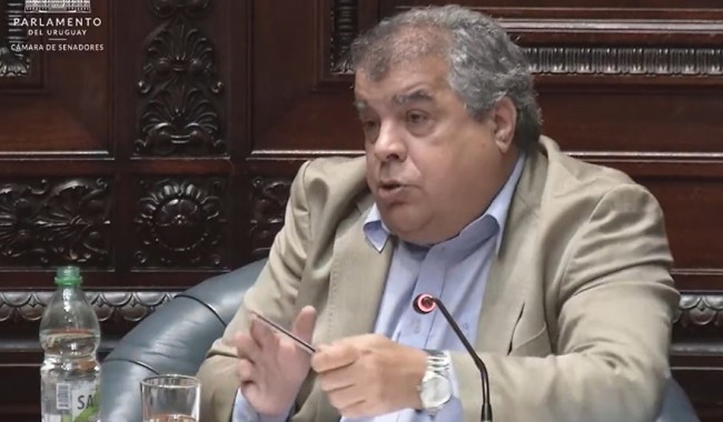 Rodrigo Blás, Senado, mujeres y disidencias, música uruguaya, cupo, espectáculos musicales, Parlamento, Partido Nacional