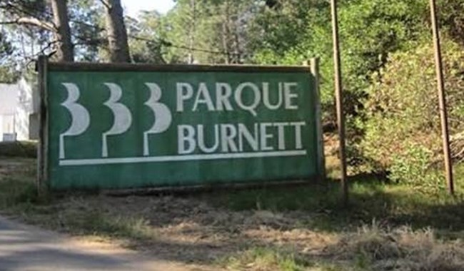 fallecidos, Parque Burnett, Maldonado, accidente, fatal, tala de árboles, Jefatura de Policía, Jefatura Maldonado