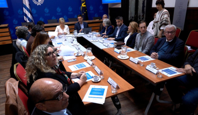 Plan Nacional de Seguridad Pública: Interior coordina acciones con organismos estatales para avanzar en su implementación