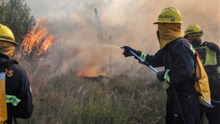 COFE destaca actuación de bomberos y recuerda reclamo de más personal y recursos materiales