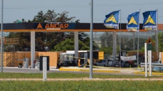 hurto, estacion servicio, Maldonado