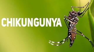Chikungunya: Positivos de Paysandú habrían estado en Maldonado y Pígola convocó al CECOED
