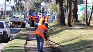 Jornales Solidarios: 64.707 inscriptos en el primer día en todo el país