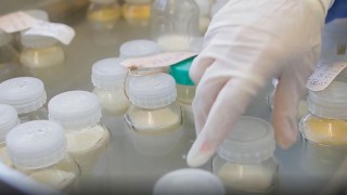 MSP conmemoró el Día Mundial de la Donación de Leche Humana