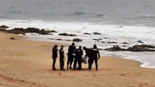 Prefectura, busqueda, Brava