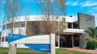 Ministra Karina Rando visitará el Hemocentro