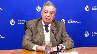 Comenzó período para presentar declaración jurada anual de semovientes