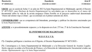 Resolución IDM 06695/2023: promulga Decreto de interés departamental para proyecto audiovisual sobre China Zorrilla