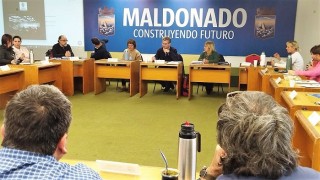 Bienestar animal: Maldonado une esfuerzos con el INBA y actúa de ejemplo a nivel país en materia de castraciones
