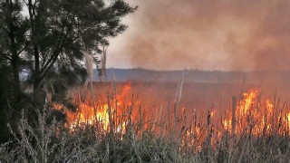incendio, Laguna del Diario
