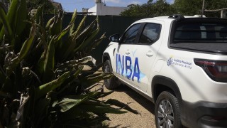 Comienzan a formarse los INBA departamentales para atender en territorio las problemáticas relacionadas con animales
