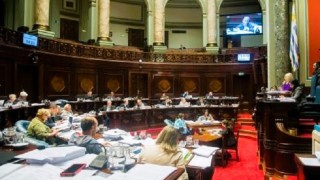 senado, rendicion de cuentas, Rodrigo Blas, Maldonado