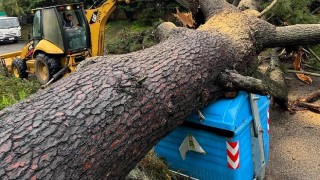 CECOED, INUMET, vientos, ciclon extratropical, Aseo Urbano, IDM, Fernando Servetto, bomberos