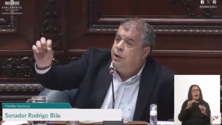 Senado pidió al Ejecutivo remitir proyecto de ley para habilitación de carnicerías y locales de venta de carne aviar y Blás reclamó menos regulaciones