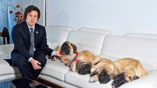 Cinco perros clonados son tema de conversación electoral en la Argentina