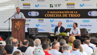 Gobierno promueve la apertura de mercados para exportar granos y sus derivados