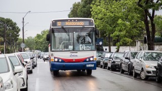 IDM, transito, lineas de transporte, transporte pasajeros, temporada, verano, recorridos
