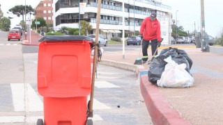 Operativo limpieza: 15 toneladas, sólo en faja costera de Punta del Este, Maldonado y La Barra fueron levantadas por la IDM para que el departamento amaneciera en condiciones
