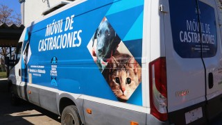 Próximas castraciones caninas serán en Maldonado, San Carlos y Piriápolis
