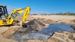 IDM detectó causas del mal olor en playas de Manantiales y Punta Piedras: son bancos de mejillones