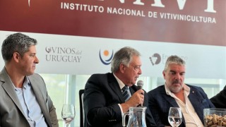 Punta del Este será sede de la Cumbre Global de Enoturismo Responsable