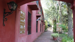 Arboretum Lussich continúa con actividades durante marzo