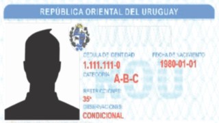 Autos y conductores: exoneración de costos del Permiso Único Nacional de Conducir y Documento de Identificación Vehicular