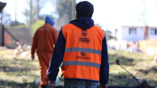 jornales solidarios, oportunidad laboral, IDM, cupos, sorteo