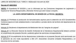 Decreto 4093/2024