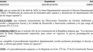 Resolución IDM 03934/2024: promulga Decreto 4093 de prohibición de extracción de hemoderivados equinos y declaración de territorio libre de granjas de sangría de yeguas