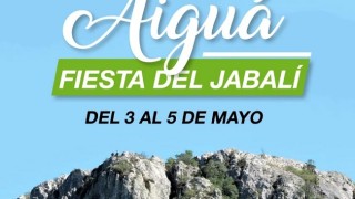 Aigua, fiesta del jabali, Aigua en Mayo