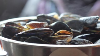 Se levanta la veda por marea roja en Maldonado