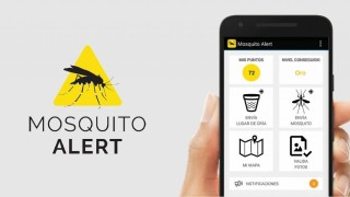 MSP, Karina Rando, Jose Luis Satdjian, mosquito alert