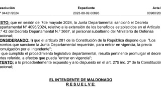 Resolución IDM 04421/2024: promulga decreto que extiende beneficio de transporte a personal subalterno del MDN