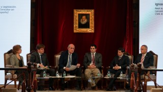 IMPO, Fernando Abella, convencion pahispanica lenguaje claro, Real Academia Española