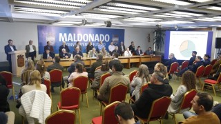 IDM, gestion, encuesta, datos, gobierno, Antia, Carlos Medina, Grupo Radar