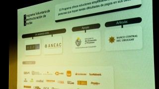 deudores, programa voluntario, regularizacion deudas, situacion crediticia, reestructuracion deudas, BCU, Diego Labat, ANEAC, ABPU, BROU