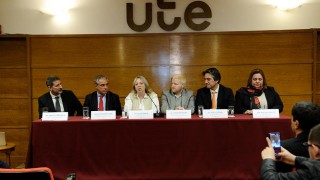 UTE, Silvia Emaldi, inversion, baygorria, central electrica