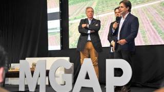 Lacalle Pou resaltó impulso del Gobierno a institucionalidad en sector granjero