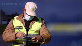 Circulaba por ruta 13 y embistió una manada de vacas